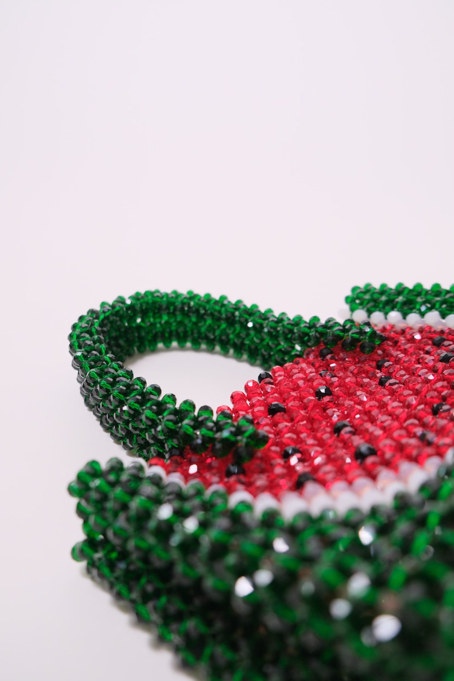 Watermelon Bag